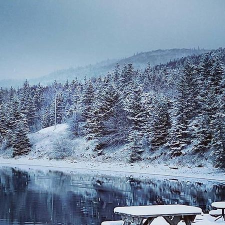 St Ann'S Motel & Cottage Baddeck Inlet エクステリア 写真